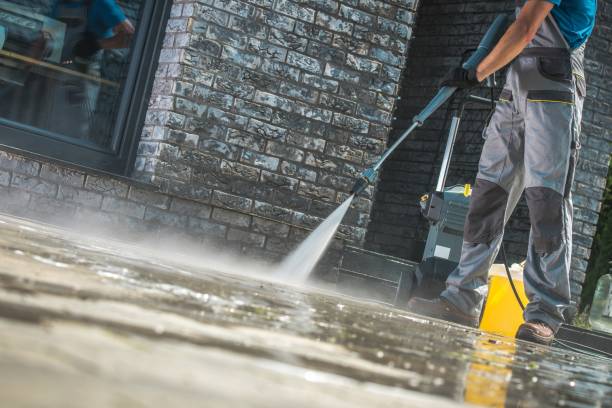 Best Boat and Dock Cleaning  in Wooster, AR